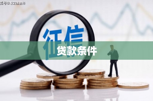 临泉贷款条件