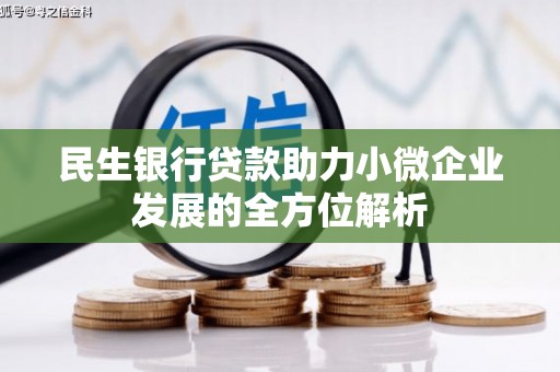 临泉民生银行贷款助力小微企业发展的全方位解析