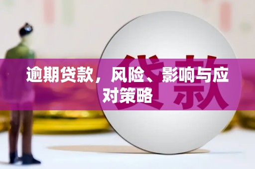 临泉逾期贷款，风险、影响与应对策略