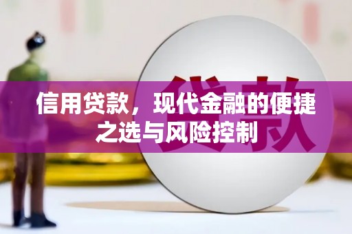临泉信用贷款，现代金融的便捷之选与风险控制