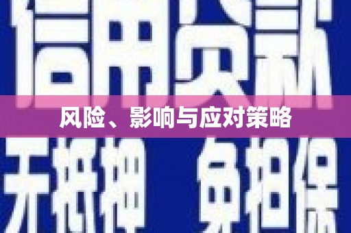 临泉风险、影响与应对策略