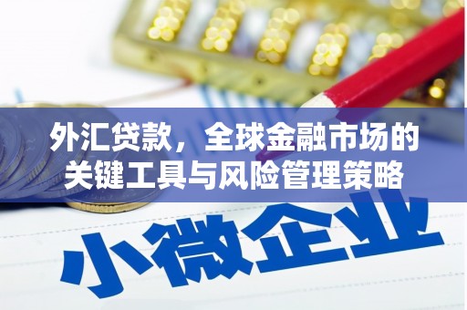 临泉外汇贷款，全球金融市场的关键工具与风险管理策略