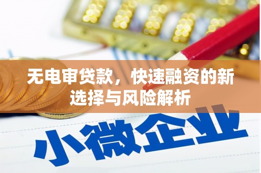 临泉无电审贷款，快速融资的新选择与风险解析