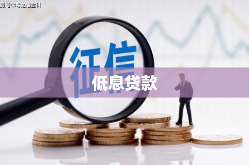 临泉低息贷款