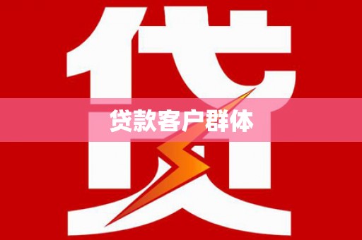 临泉贷款客户群体