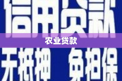临泉农业贷款