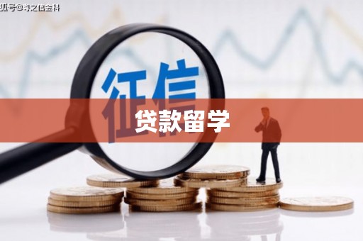 临泉贷款留学
