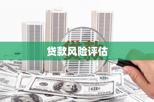 临泉贷款风险评估