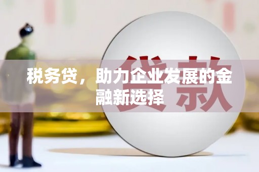 临泉税务贷，助力企业发展的金融新选择