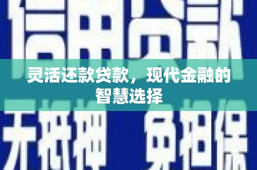 临泉灵活还款贷款，现代金融的智慧选择