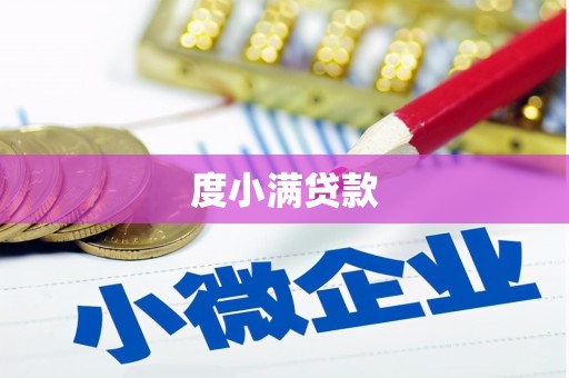 临泉度小满贷款