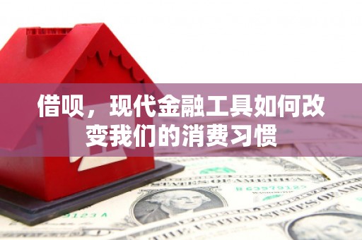 临泉借呗，现代金融工具如何改变我们的消费习惯