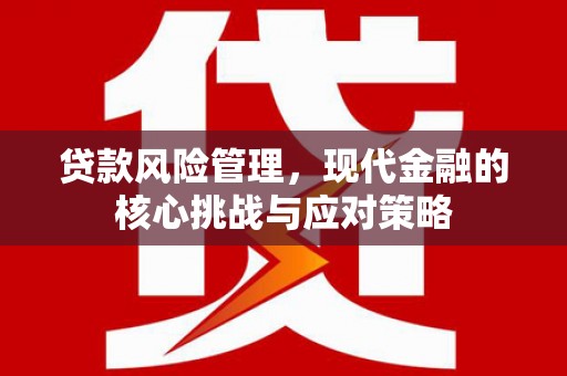 临泉贷款风险管理，现代金融的核心挑战与应对策略