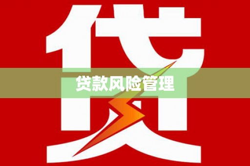 临泉贷款风险管理