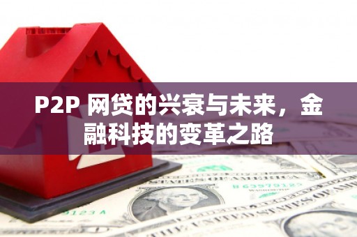 临泉P2P 网贷的兴衰与未来，金融科技的变革之路