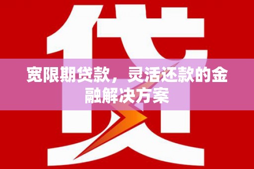临泉宽限期贷款，灵活还款的金融解决方案