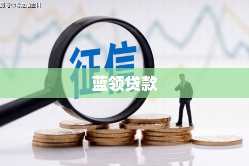 临泉蓝领贷款