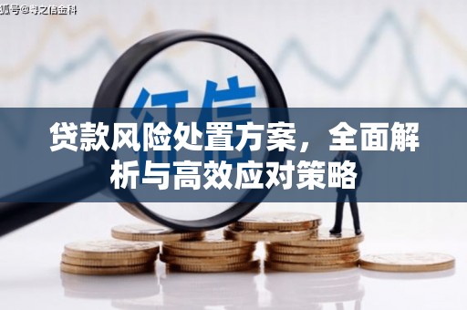 临泉贷款风险处置方案，全面解析与高效应对策略