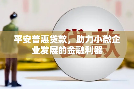 临泉平安普惠贷款，助力小微企业发展的金融利器