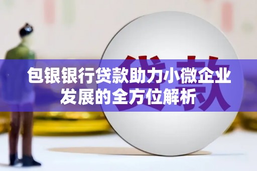 临泉包银银行贷款助力小微企业发展的全方位解析