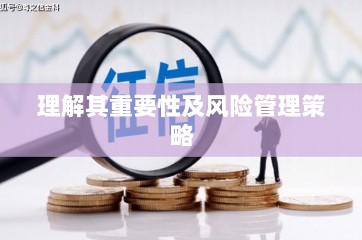 临泉理解其重要性及风险管理策略