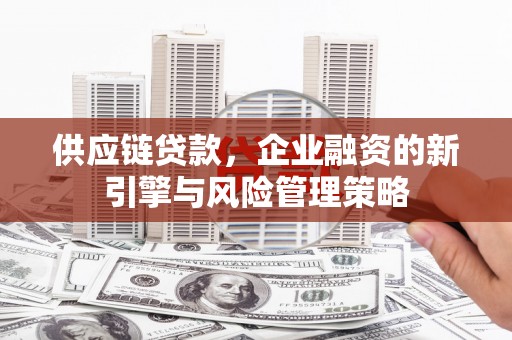 临泉供应链贷款，企业融资的新引擎与风险管理策略