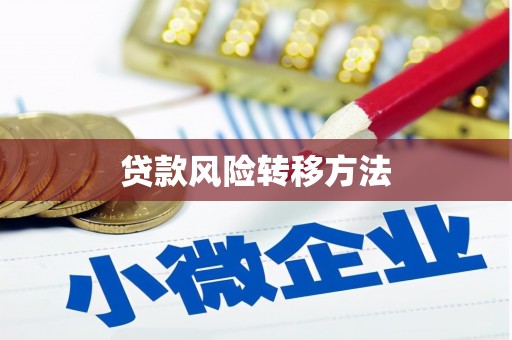 临泉贷款风险转移方法