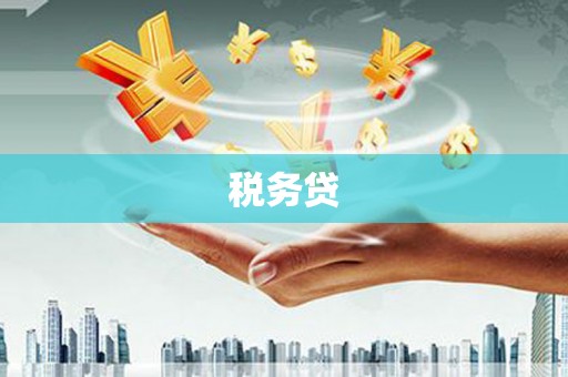 临泉税务贷