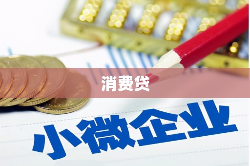 临泉消费贷