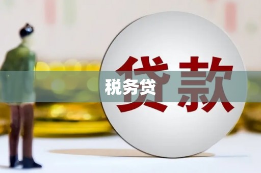 临泉税务贷
