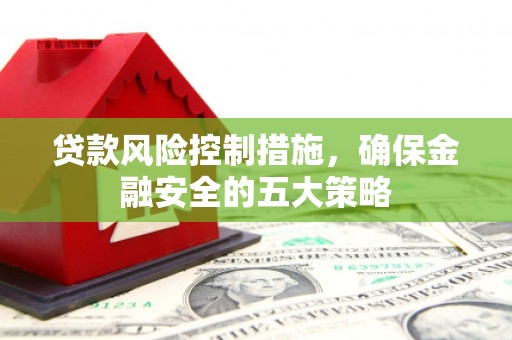 临泉贷款风险控制措施，确保金融安全的五大策略