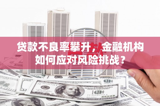 临泉贷款不良率攀升，金融机构如何应对风险挑战？