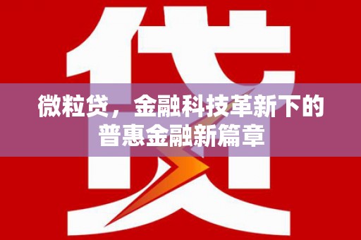 临泉微粒贷，金融科技革新下的普惠金融新篇章