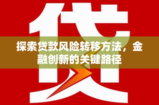 临泉探索贷款风险转移方法，金融创新的关键路径