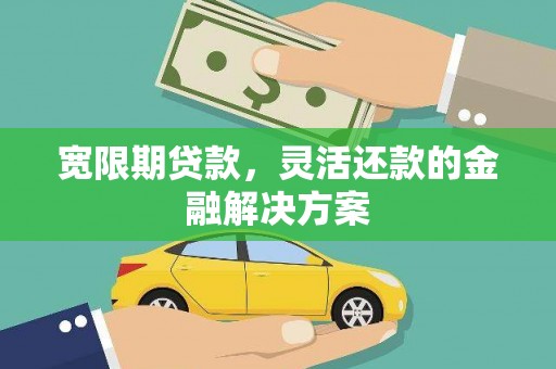 临泉宽限期贷款，灵活还款的金融解决方案