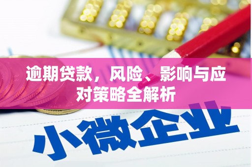 临泉逾期贷款，风险、影响与应对策略全解析