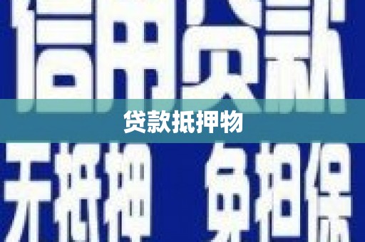 临泉贷款抵押物
