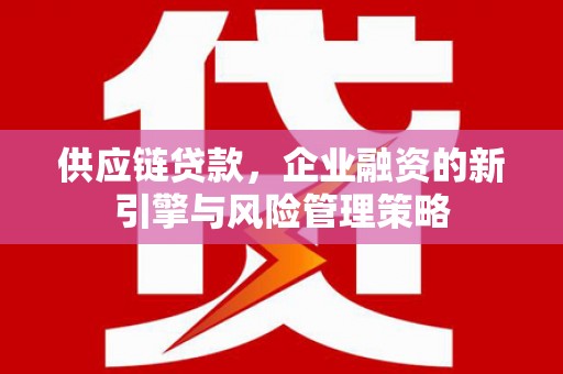 临泉供应链贷款，企业融资的新引擎与风险管理策略
