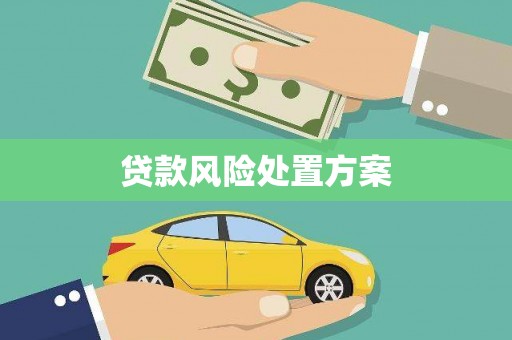 临泉贷款风险处置方案