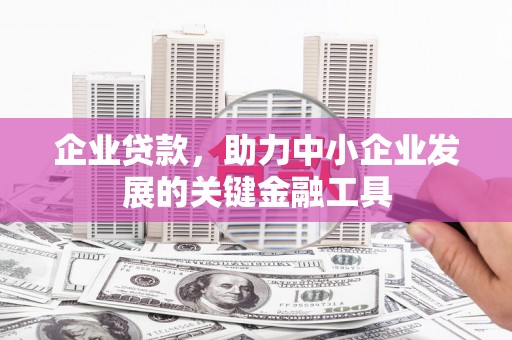 临泉企业贷款，助力中小企业发展的关键金融工具