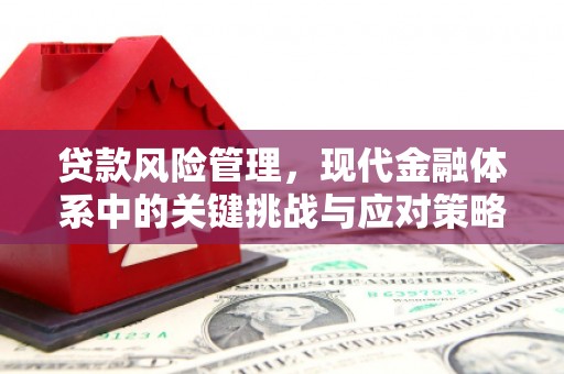 临泉贷款风险管理，现代金融体系中的关键挑战与应对策略