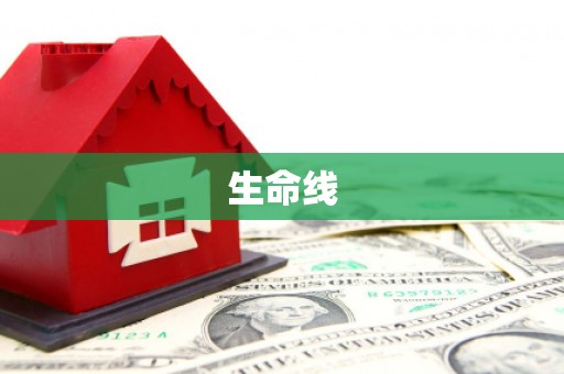 临泉生命线