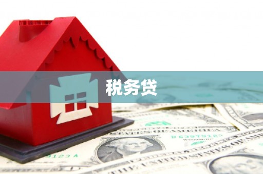 临泉税务贷