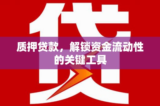 临泉质押贷款，解锁资金流动性的关键工具