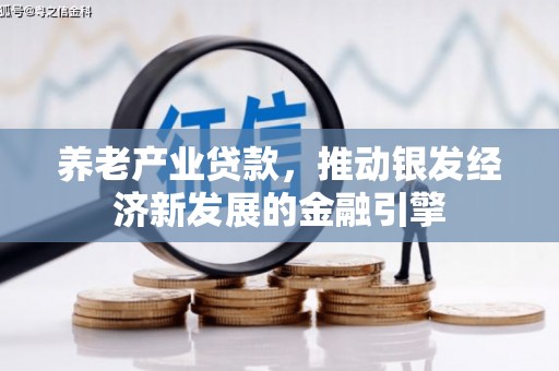 临泉养老产业贷款，推动银发经济新发展的金融引擎