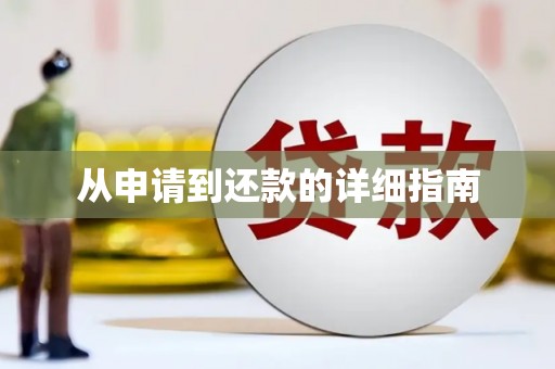 临泉从申请到还款的详细指南