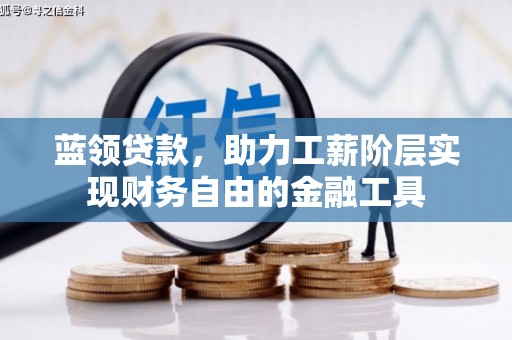 临泉蓝领贷款，助力工薪阶层实现财务自由的金融工具