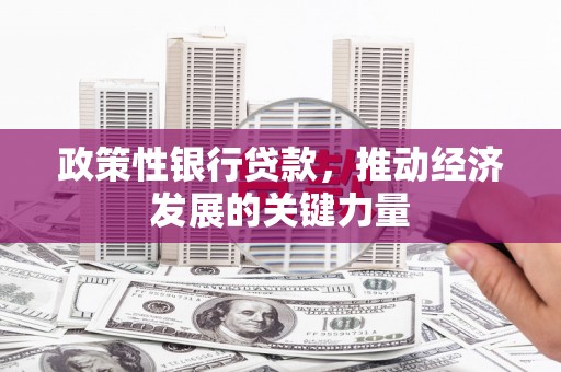临泉政策性银行贷款，推动经济发展的关键力量