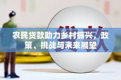 临泉农民贷款助力乡村振兴，政策、挑战与未来展望