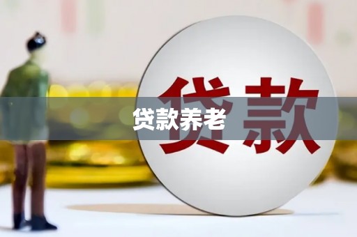 临泉贷款养老